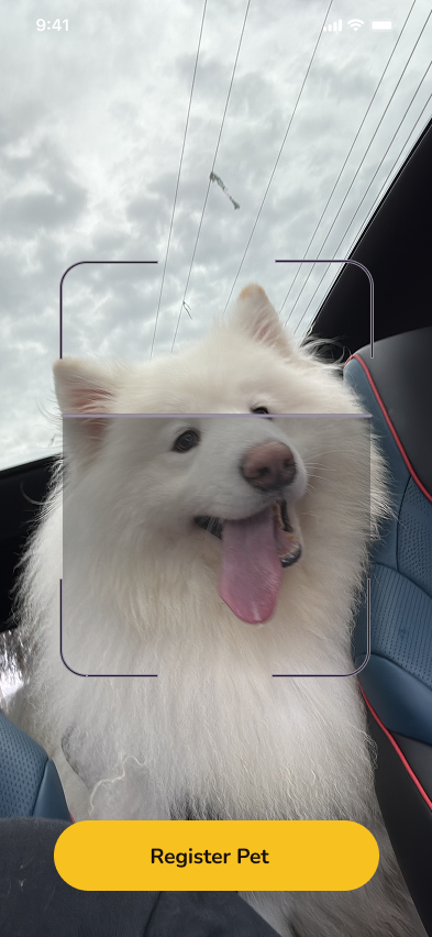 Pawsly